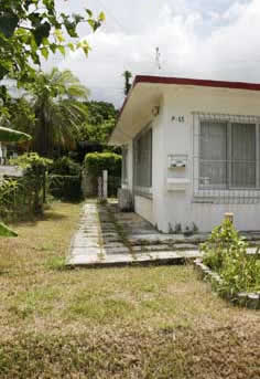 ����n�E�XP-55